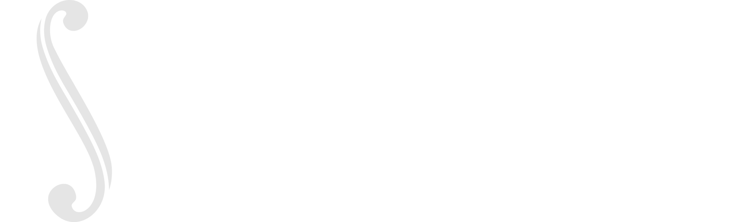 Ensemble Symphonique de Genève